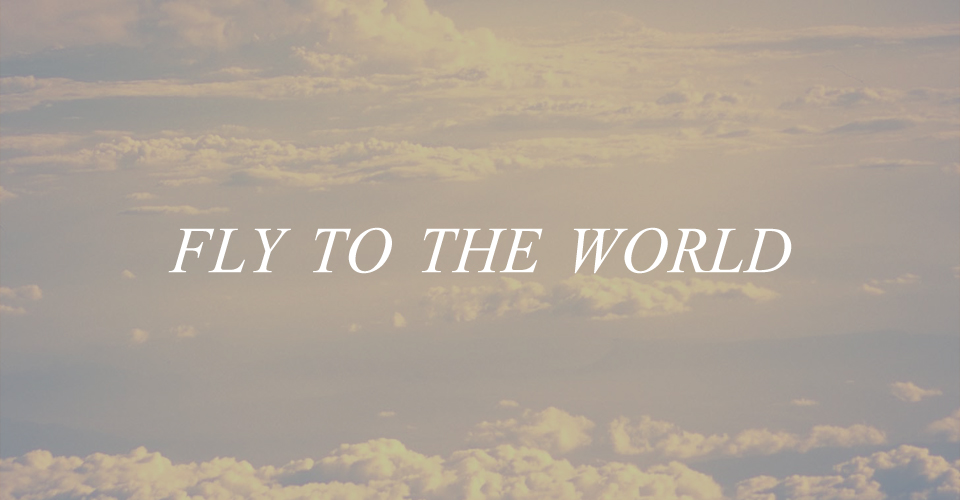 FLY TO THE WORLD